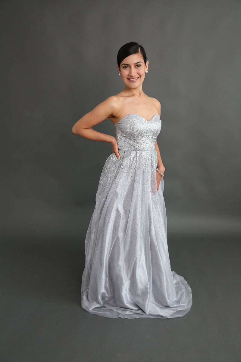 Be A Princess Silver Sparkly Dress Rental