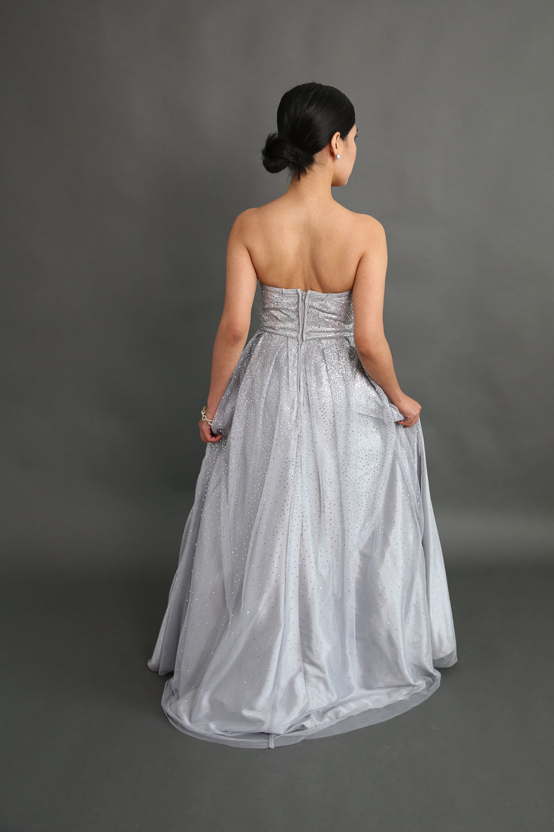 Be A Princess Silver Sparkly Dress Rental